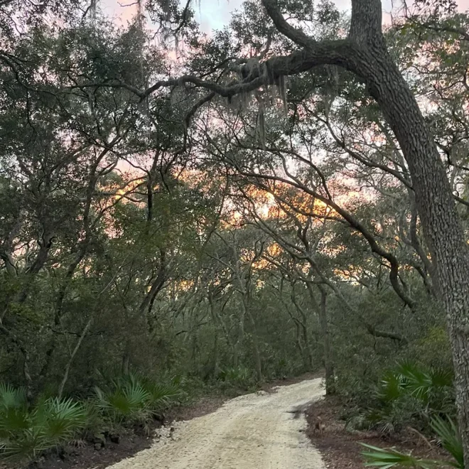 Limerock path to campsites