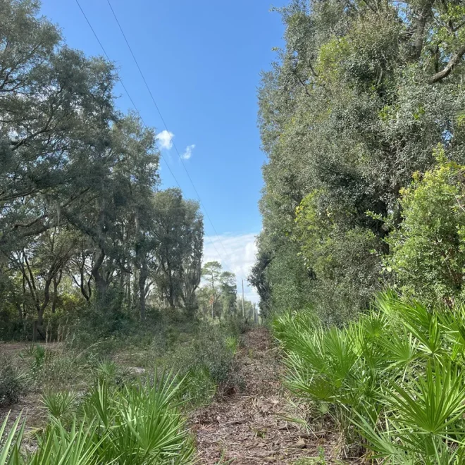 Road and front path adjacent to property